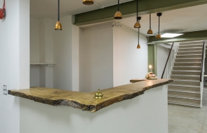 The Greenhouse N16 - Reception
