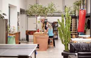 coworking rochuspark - Rochus Park