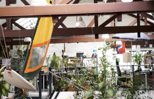 coworking rochuspark - Rochus Park