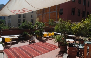 Apocapoc - Rooftop Garden