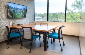 SharedSpace Dunwoody - Meeting Room