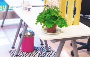 HUB13 - Hub13 Helsinki