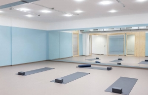 Brains and Bodies - Yoga