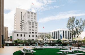 We Work B Street - Garden